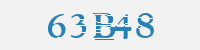 보안문자